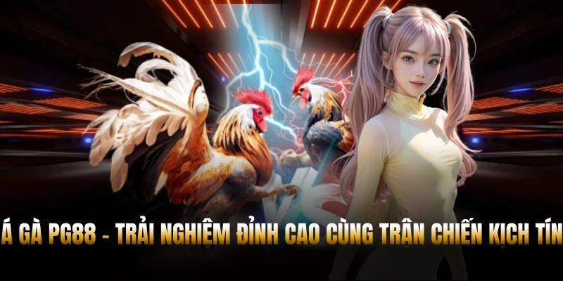 ĐÁ GÀ PG88 – CẬP NHẬT TRẬN ĐẤU KỊCH TÍNH MỖI NGÀY 2 Đá Gà PG88 – Thưởng Thức Trận Chiến Nghẹt Thở Mỗi Ngày